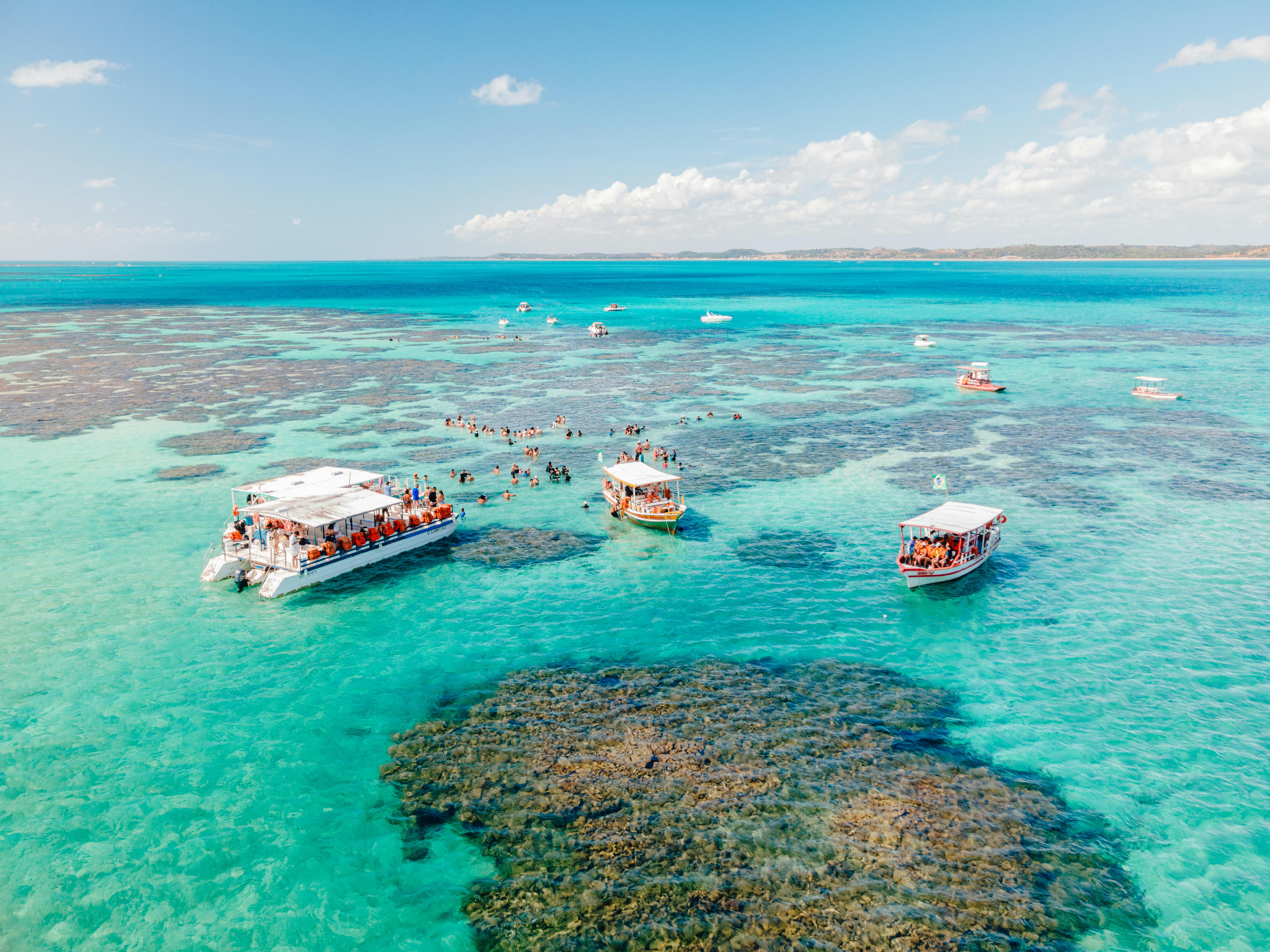 Piscinas naturais de Porto de Galinhas (Foto: Pexels/Lucas Meneses)